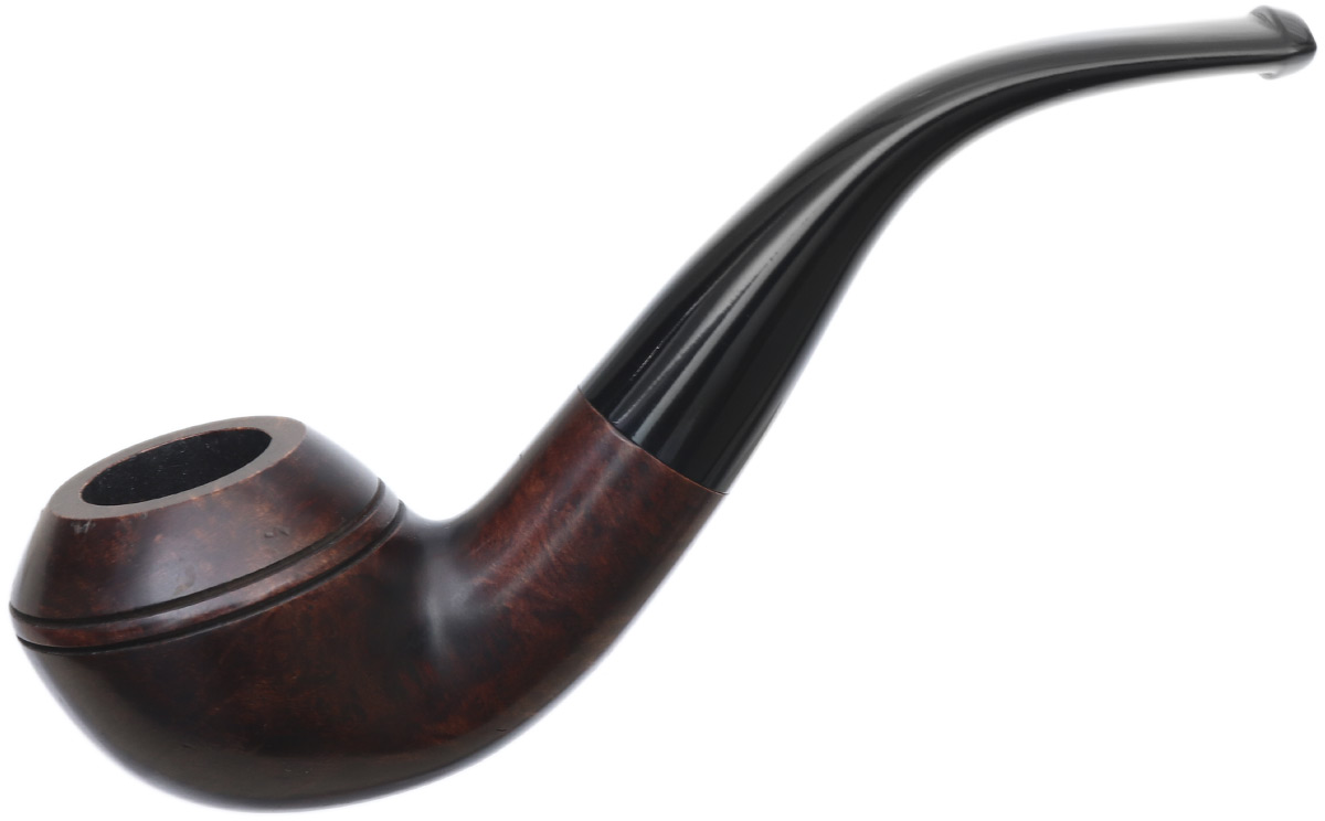 Irish Seconds Smooth Rhodesian Fishtail (3)