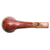 Claudio Cavicchi Brown Smooth Rhodesian