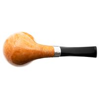 Claudio Cavicchi Smooth Rhodesian with Silver (CCCC)