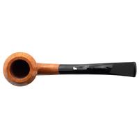 Ser Jacopo Smooth Rhodesian Sitter (L2)